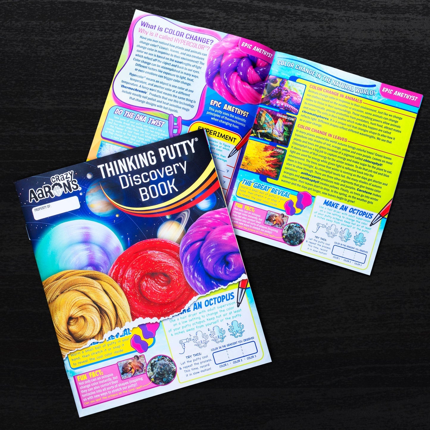 Putty Discovery Kit™